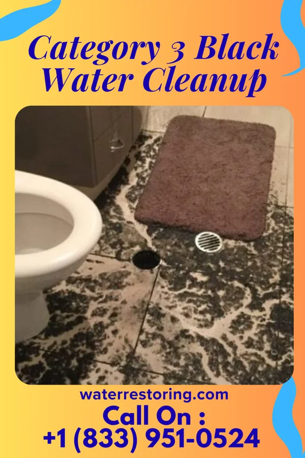 Category 3 Black Water Cleanup in Hammondsport, NY