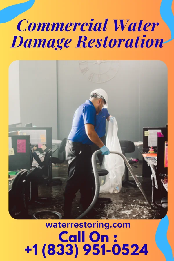 Commercial Water Damage Restoration in Hammondsport, NY