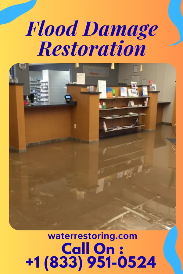 Flood Damage Restoration in Hammondsport, NY