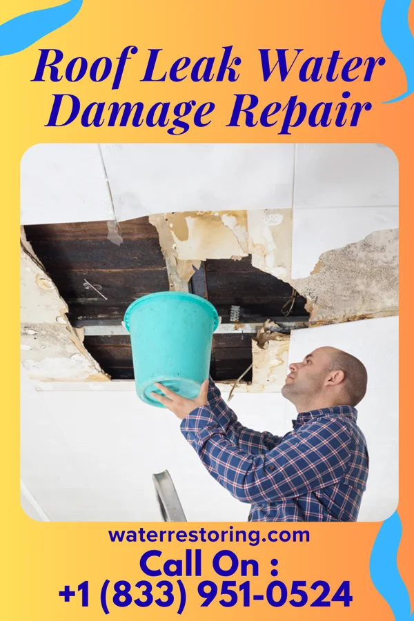 Roof Leak Water Damage Repair in Hammondsport, NY