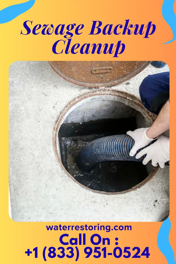 Sewage Backup Cleanup in Hammondsport, NY