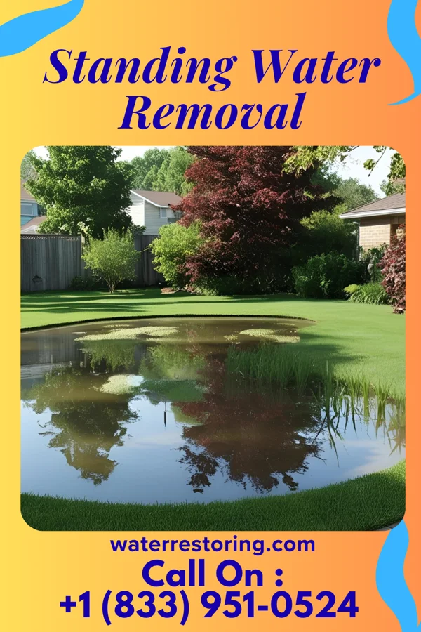 Standing Water Removal in Hammondsport, NY